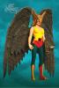 6hawkgirl_t1.jpg