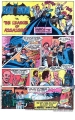 Batman Vs. The League of Assasins - Hostess Twinkies Cakes