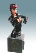 Women Of The DC Universe: Catwoman