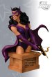 Women Of The DC Universe: Huntress