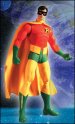 Robin