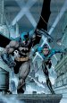 Jim Lee: Batman & Nightwing
