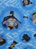 The Batman Curtains